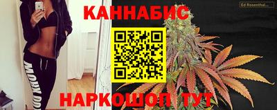 Альфа ПВП Ливны