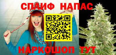 Альфа ПВП Ливны