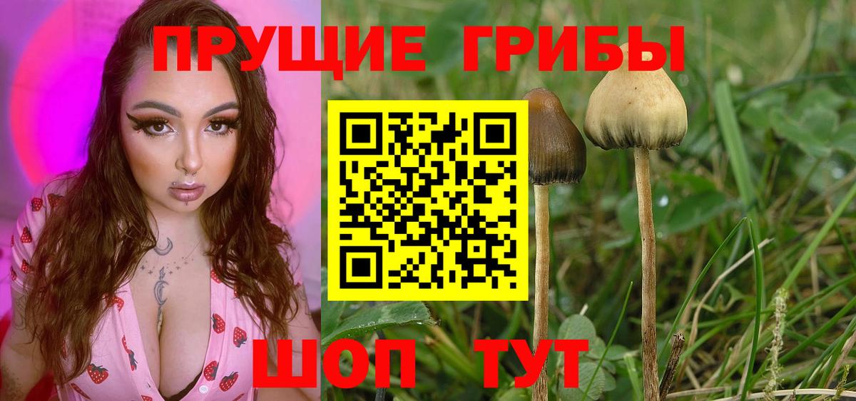 Псилоцибиновые грибы мицелий Якутск