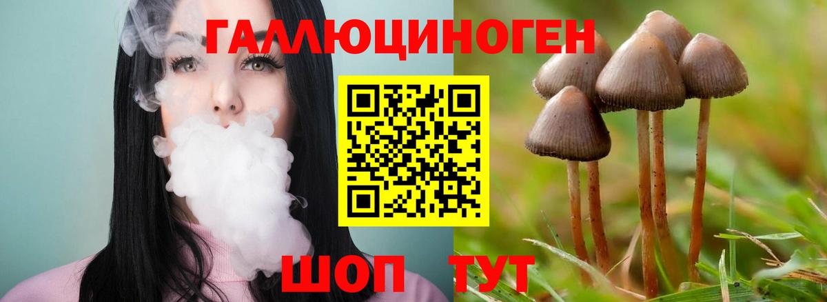 Псилоцибиновые грибы ЛСД  Псилоцибиновые грибы ЛСД  Якутск  Вход с VPN 
